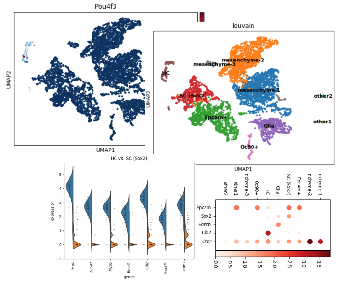 Multi-gene Curator screenshot